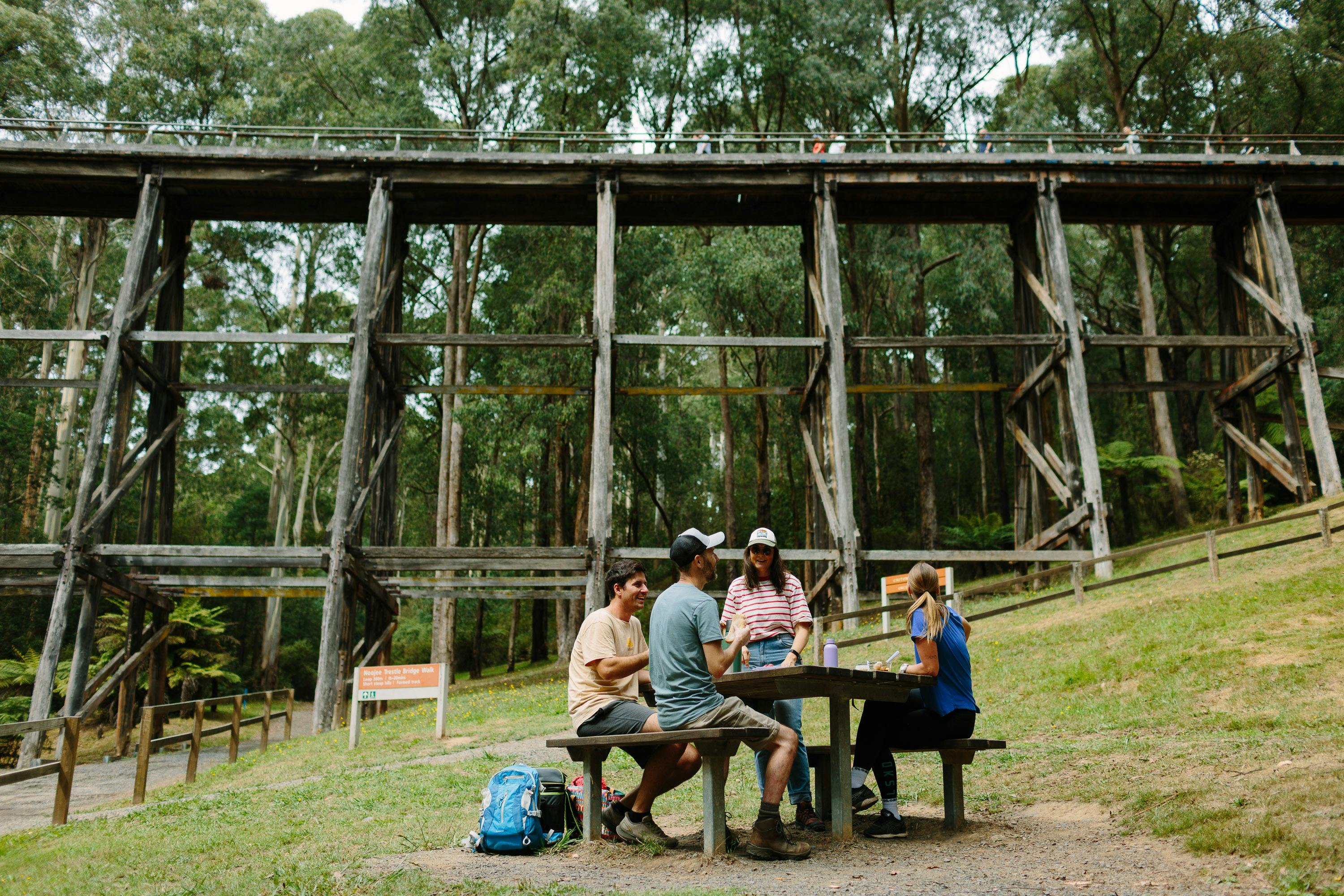 Enjoy a walk and picnic at Noojee Trestle Bridge