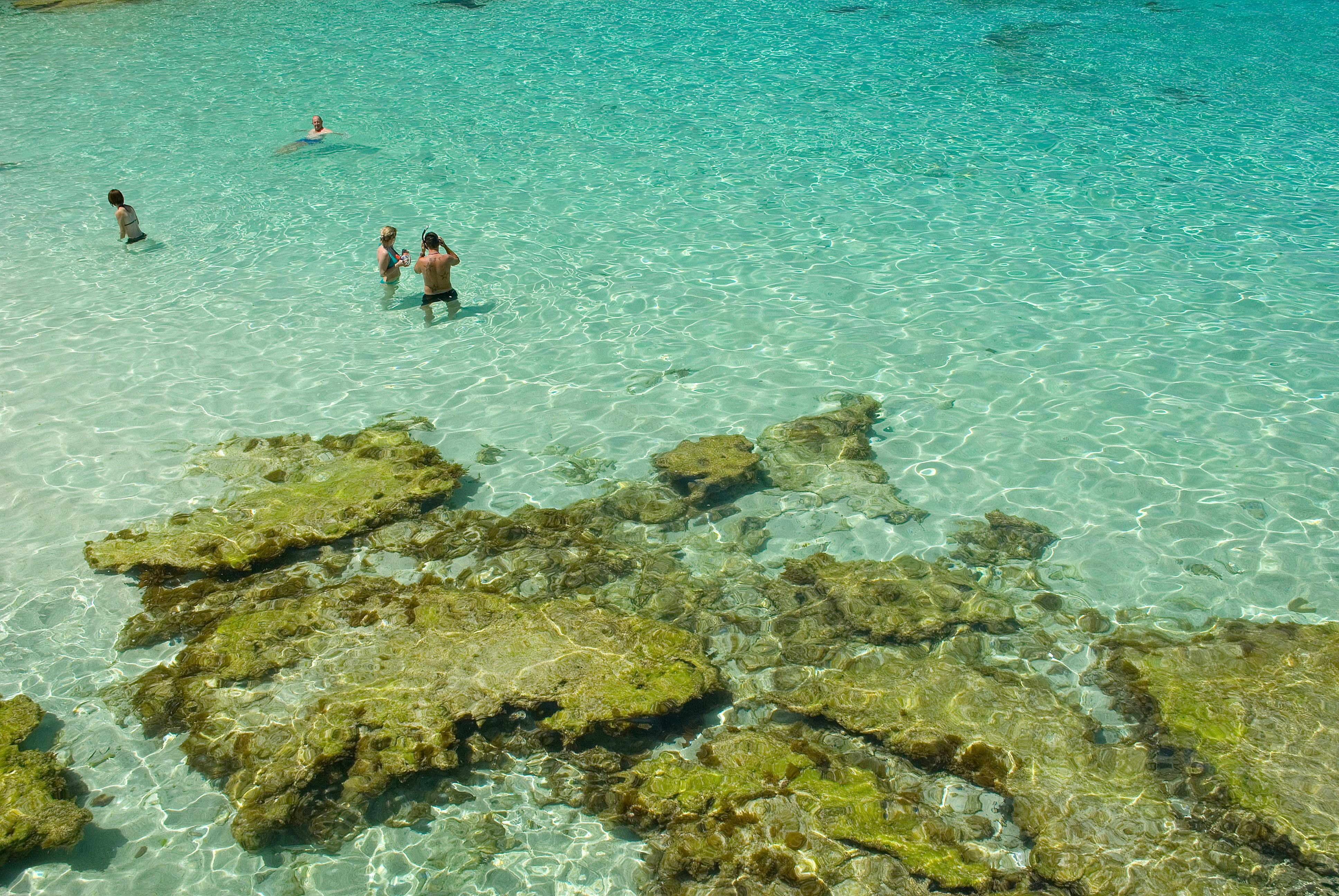 Little Salmon Bay