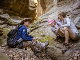 Tour guide and guests sit together inspecting something on the floor of a dry creek, Carnarvon Gorge