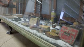 The Jackson Collections