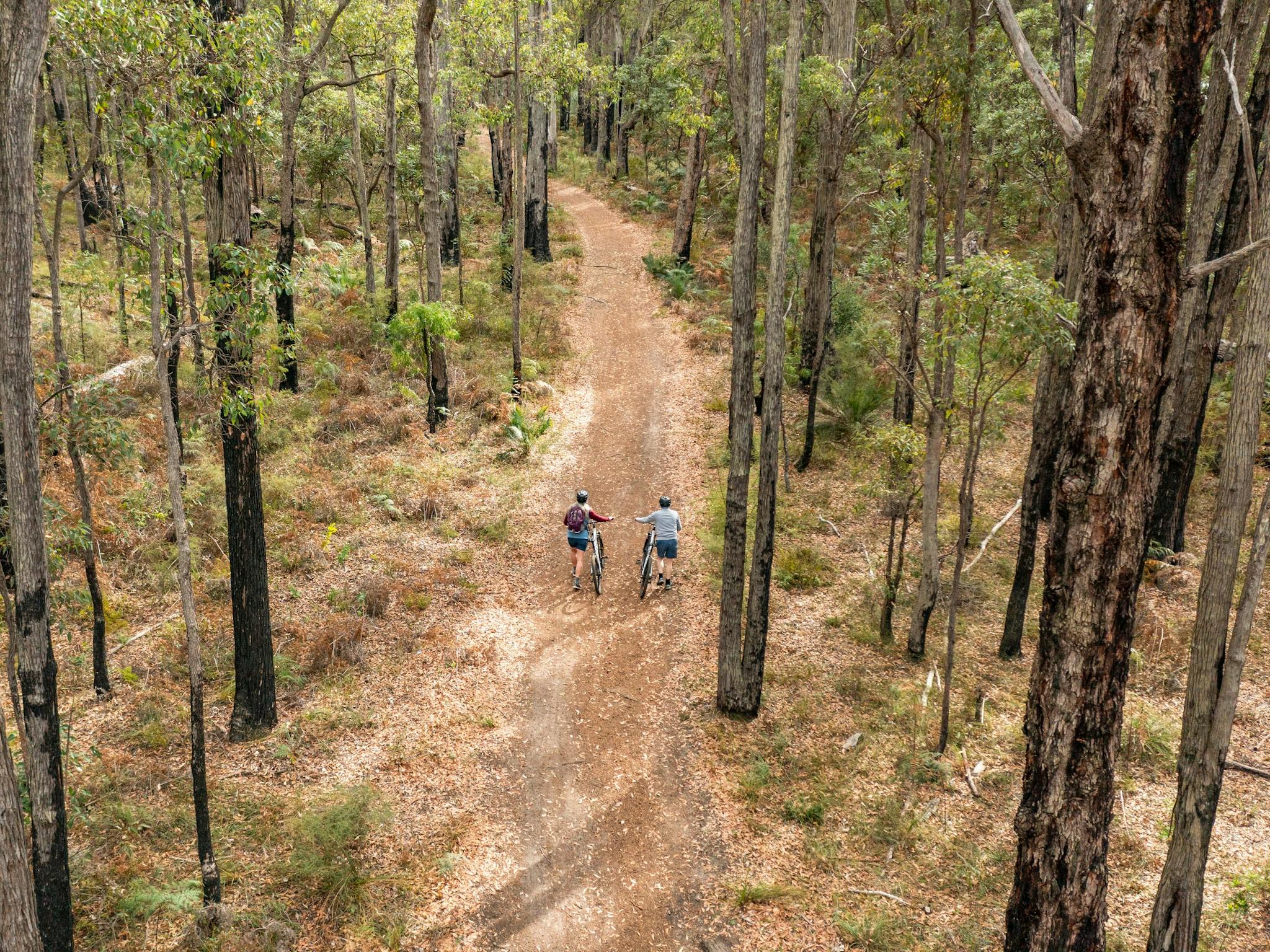 Self Guided Tours with Dwellingup Adventures, Dwellingup