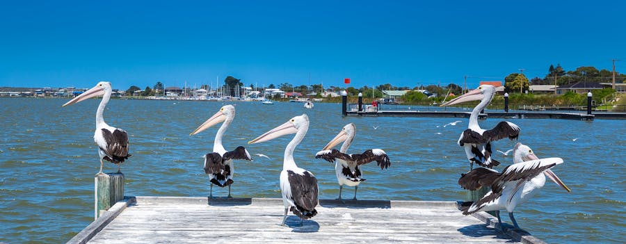 Goolwa Visitor Information Centre