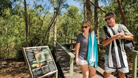 Wangi Falls to Walker Creek – Tabletop Track