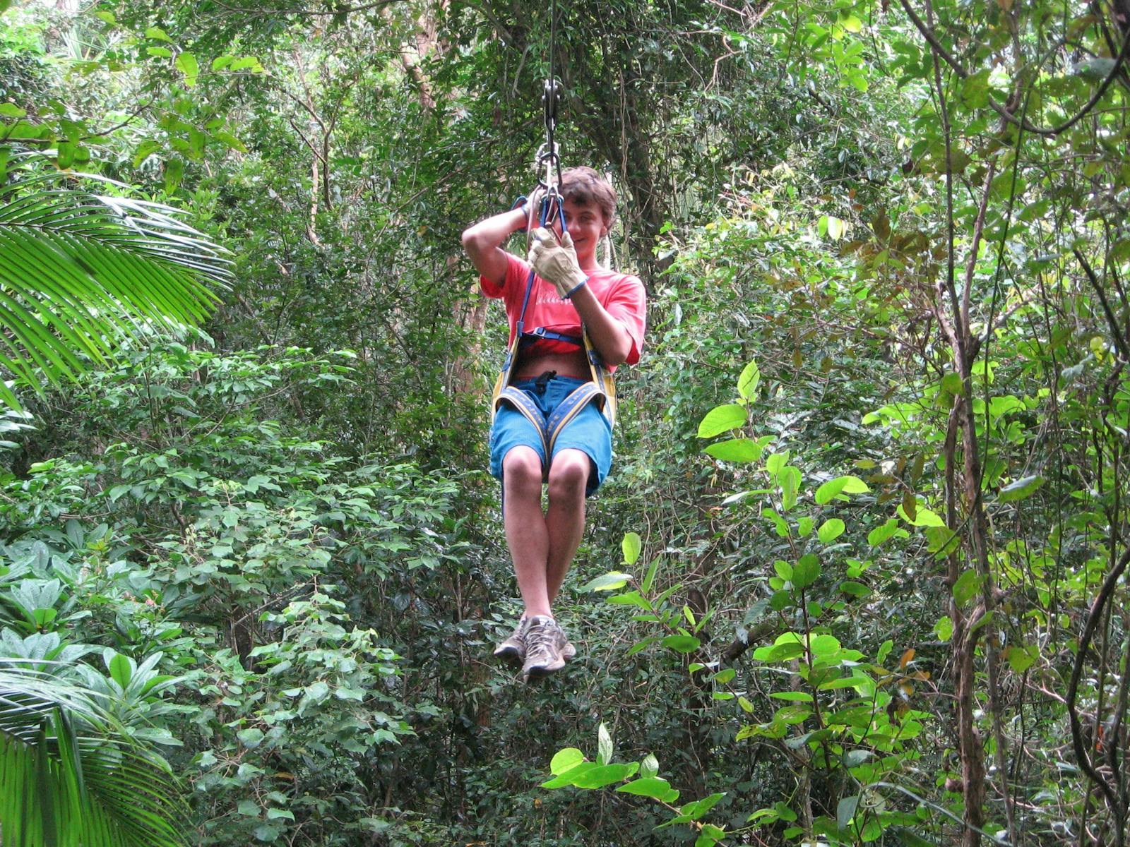 Forest Flying