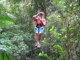 Forest Flying