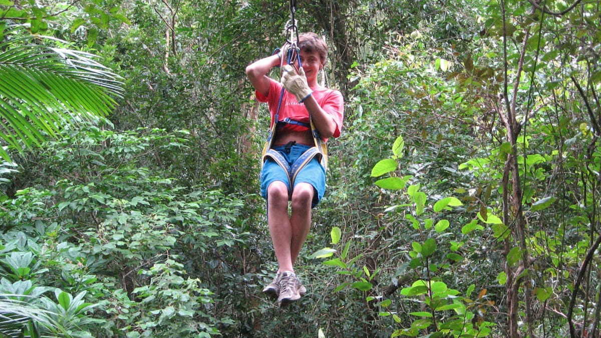 Forest Flying