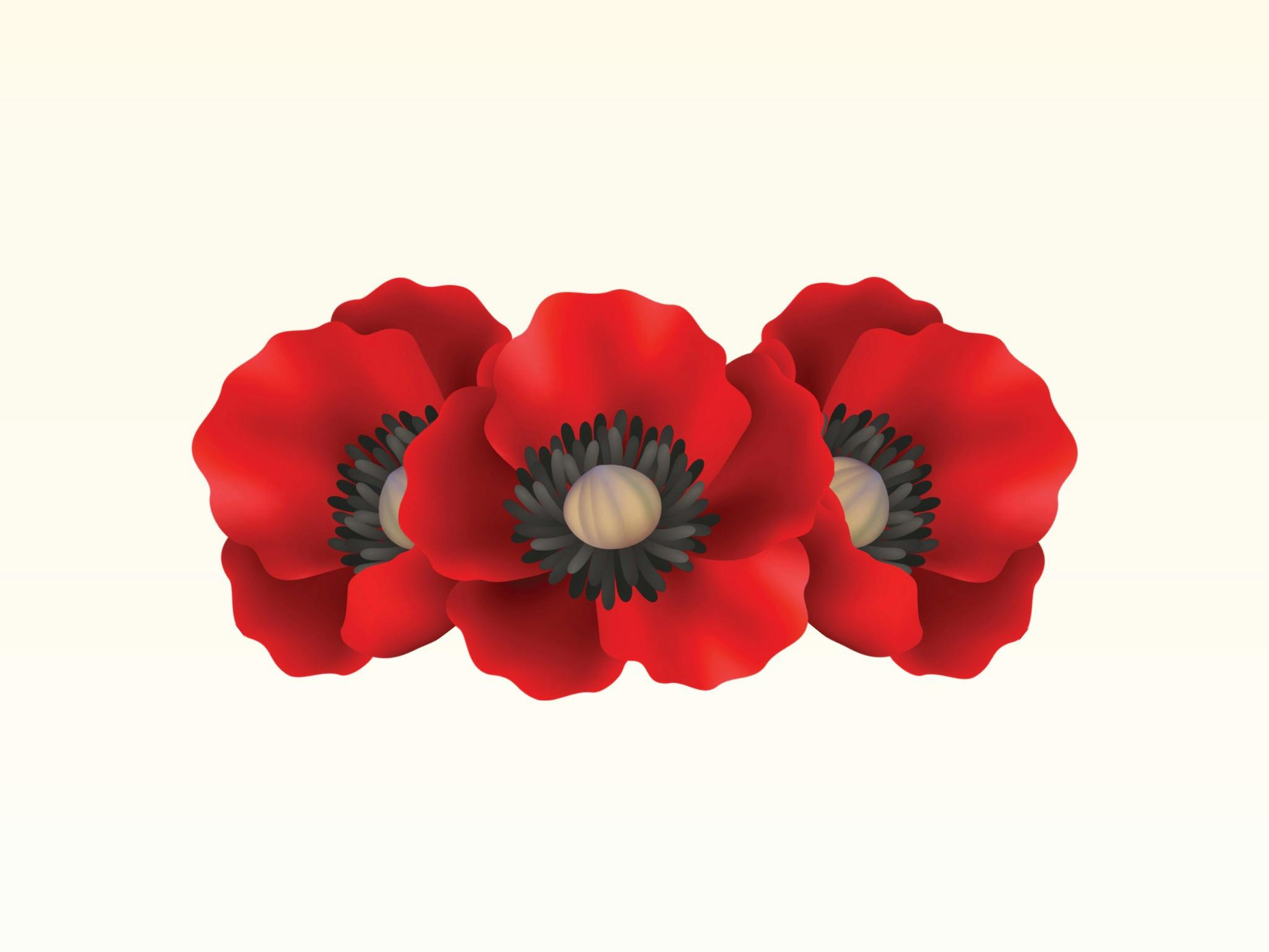 ANZAC Day at Brothers