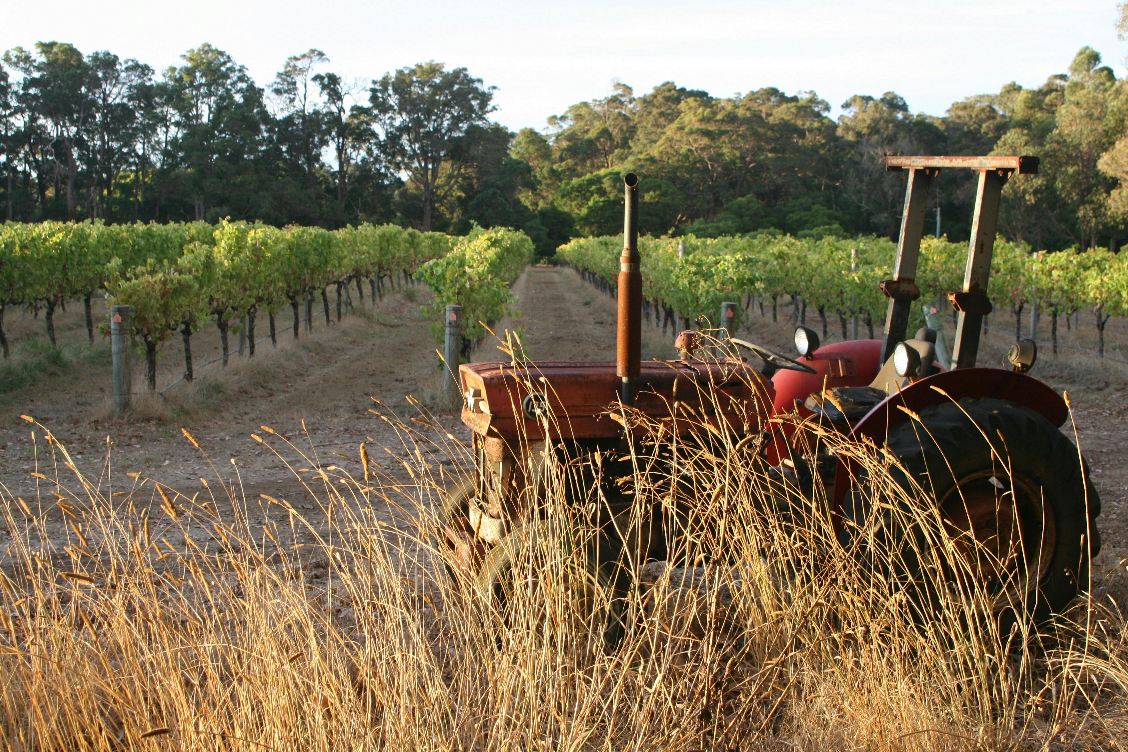 Cape Grace Wines Cellar Door