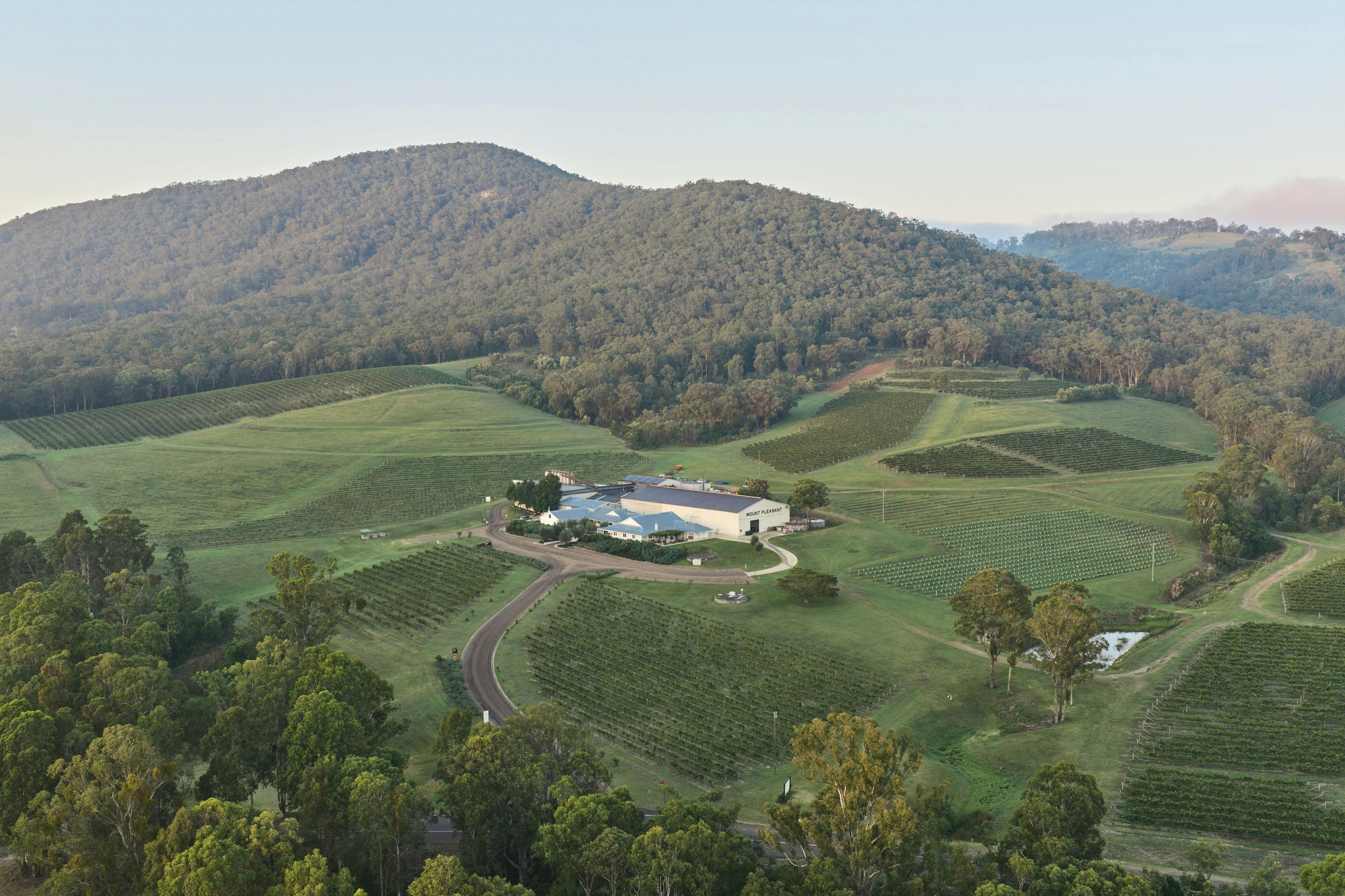 Above the Vines - Hunter Valley Helicopter and Wine Experience