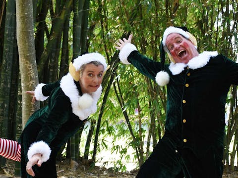 Dreaming of a Green Christmas