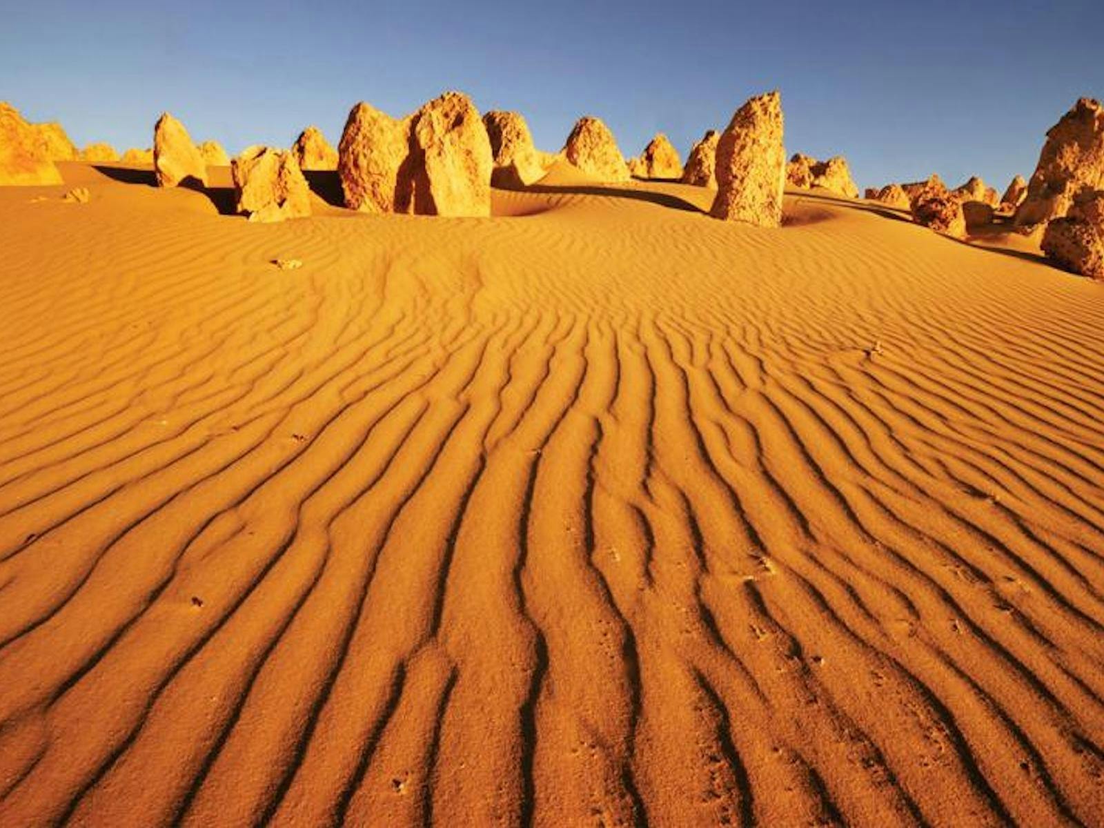 WA Pinnacles Desert