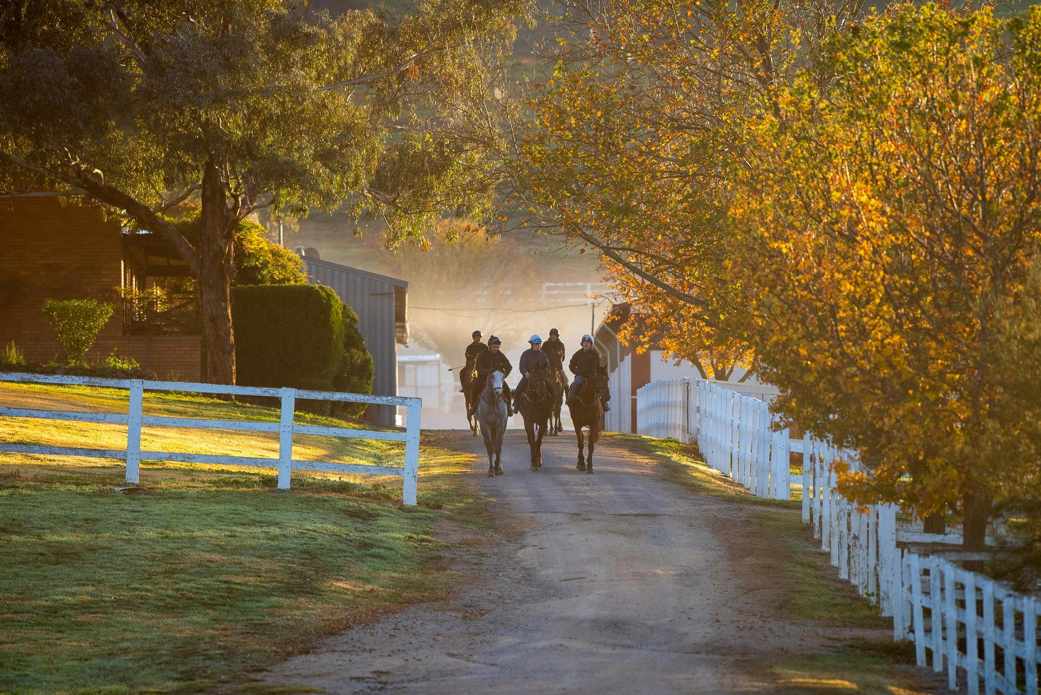 A group of riders and our thoroughbreds strolling along the property