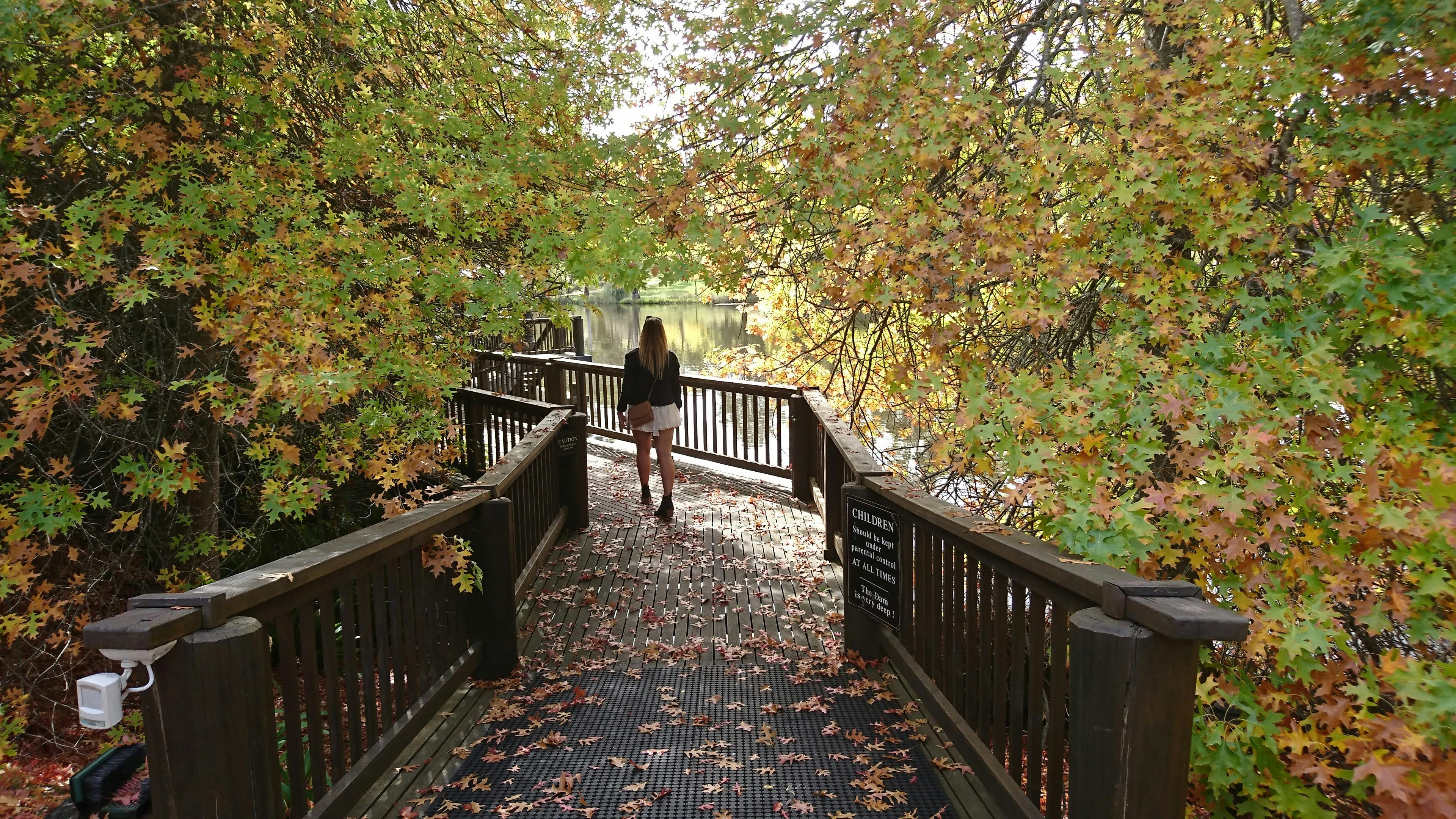 Cellar Door Tastings - Adelaide Hills
