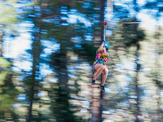 Go Wild Southern Adventure Hub