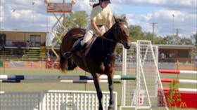 Wee Waa Show