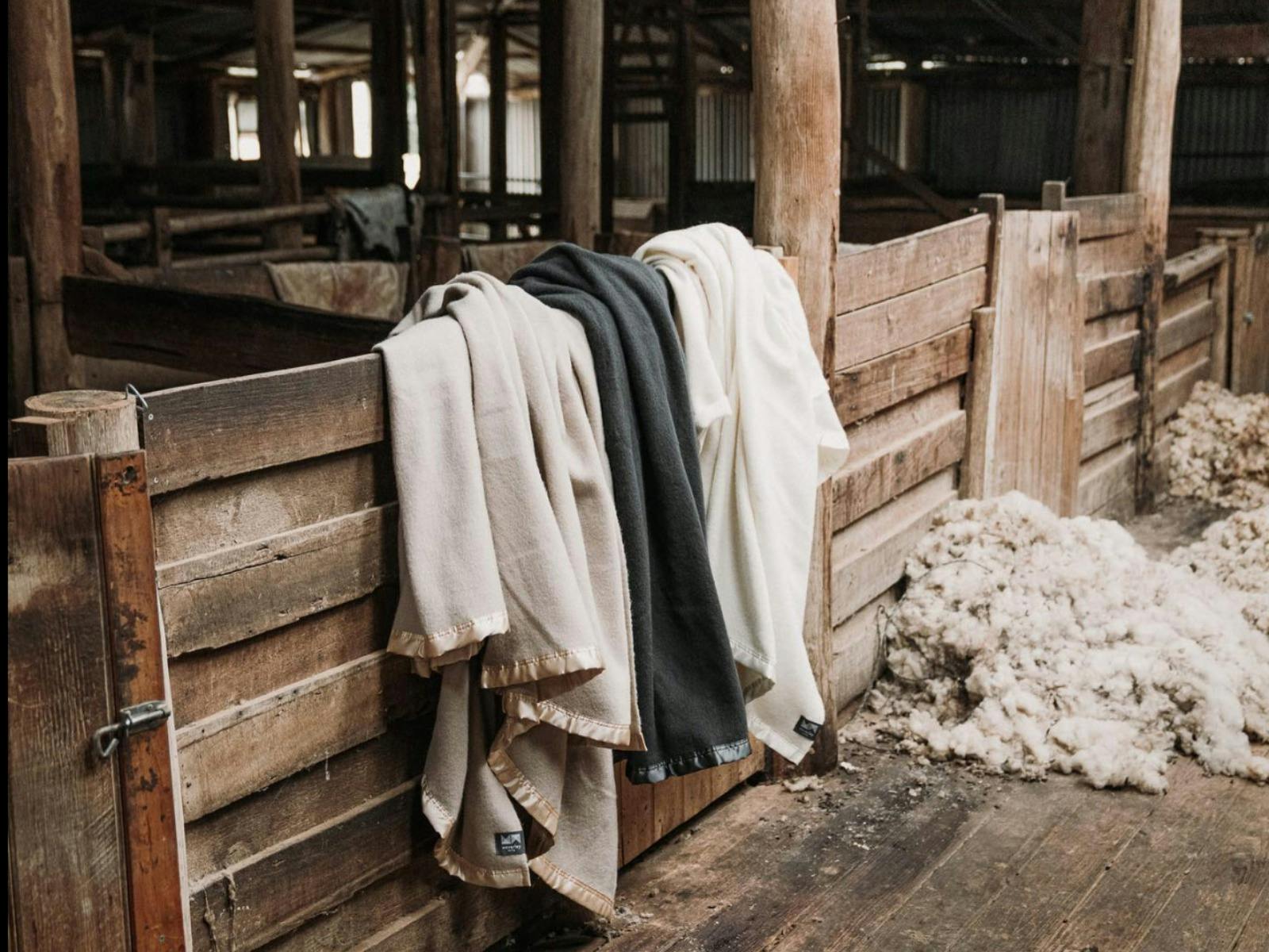 Light brown, charcoal and white blankets hanging over wooden fence in a shearing shed