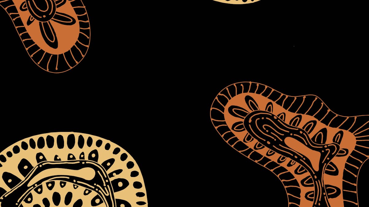 NAIDOC