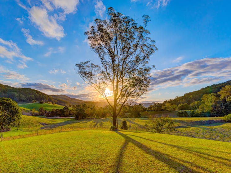 View from cottages