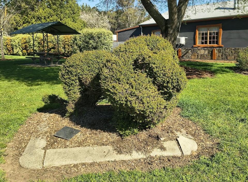 Lions Park, Railton photo