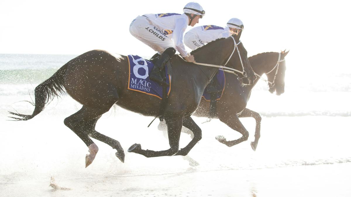 Magic Millions Barrier Draw