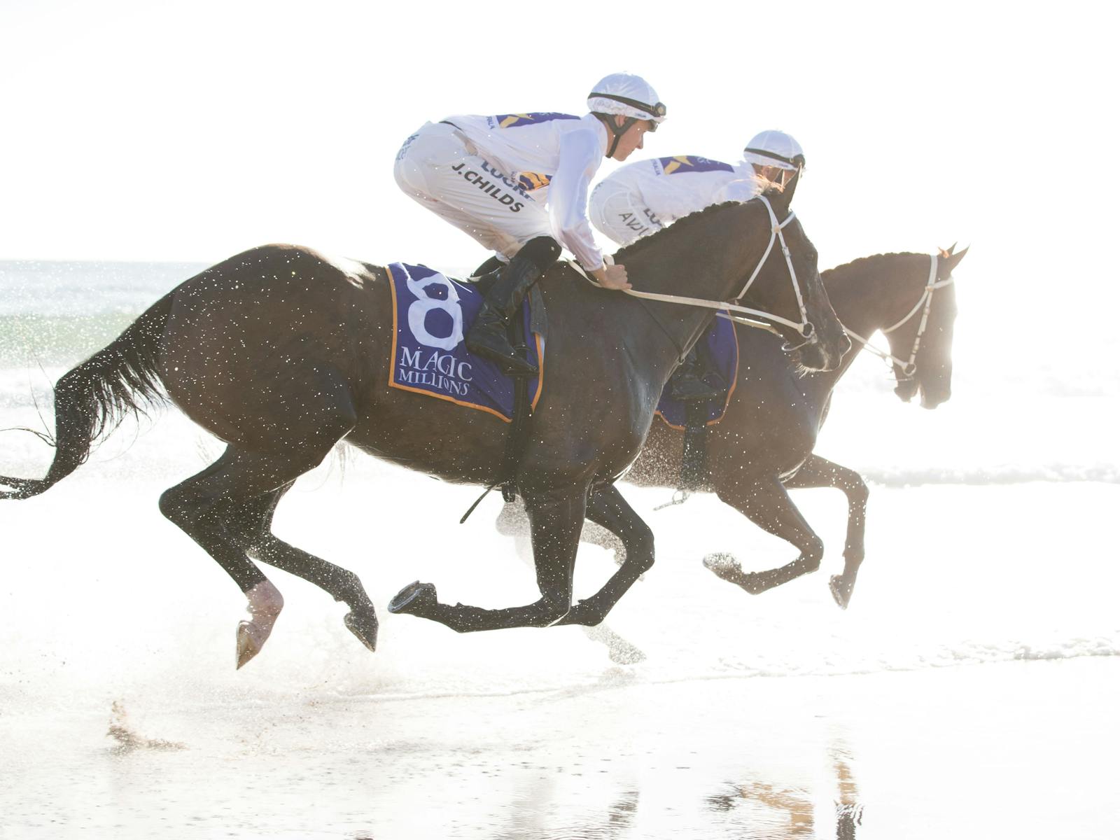 Image for The Star Gold Coast Magic Millions Barrier Draw 2022