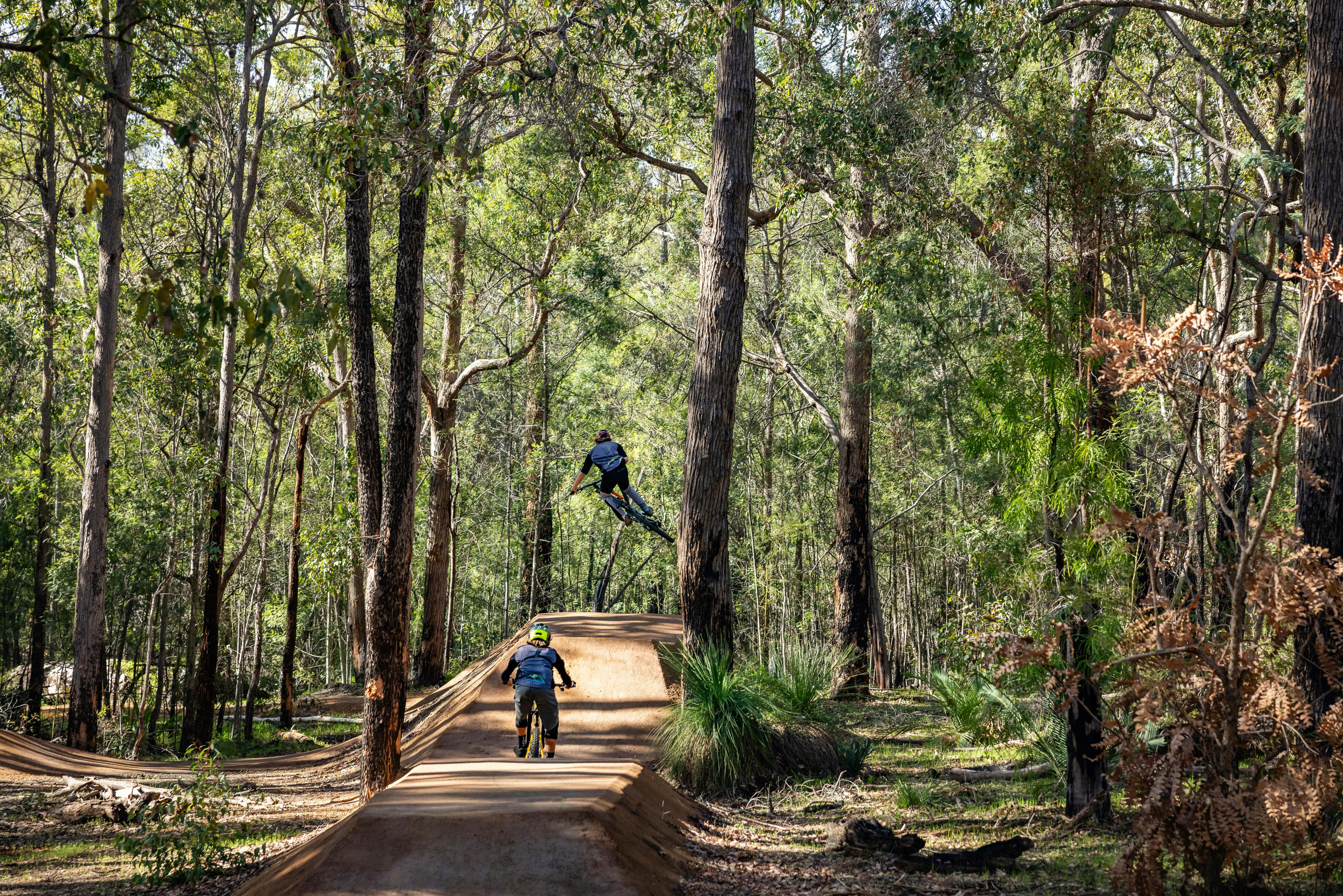 Ngoolark MTB Jump Park