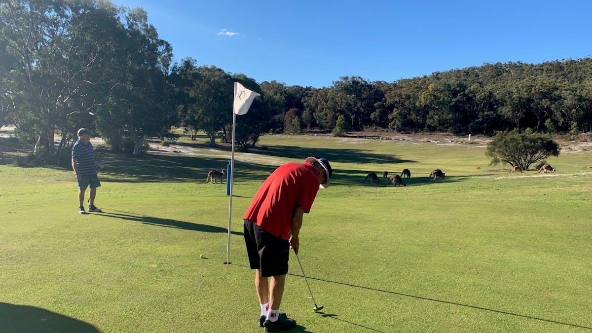 Putting with the Kangaroos