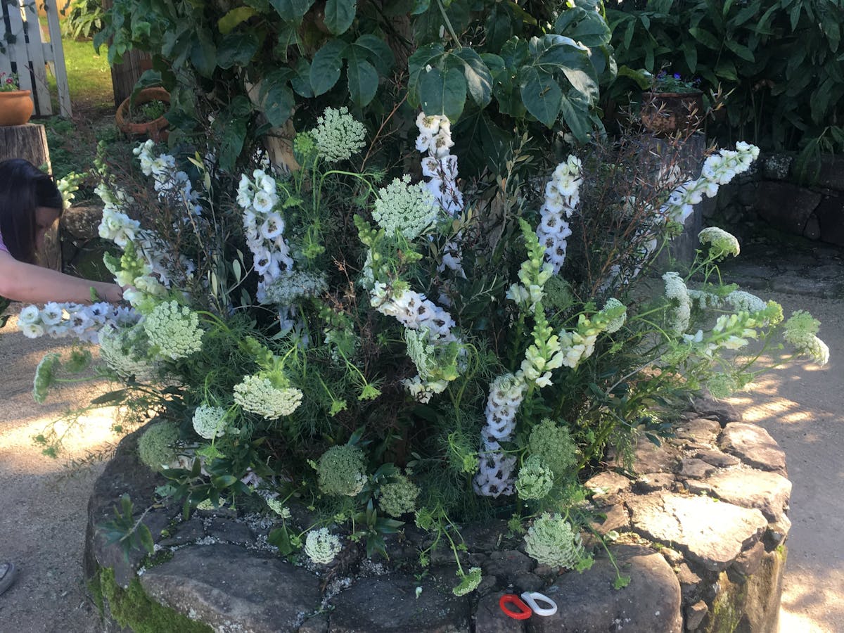 Wedding Ceremony and Reception Styling and Flowers