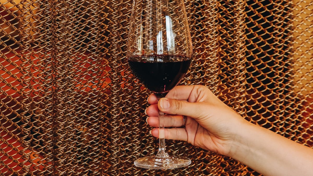 Our extensive wine list, distinguished by a contemporary selection of organic & carbon-neutral wines