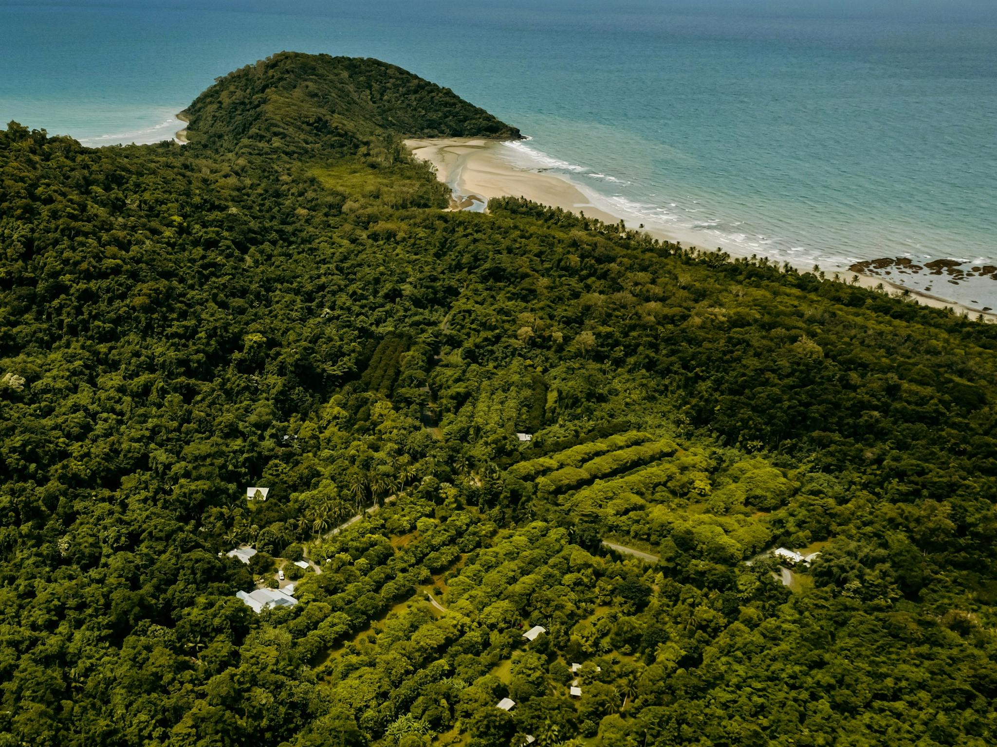 Aerial photo of Cape Trib Farm with Cape Tribulation in background Aerial photo of Cape Trib Farm with Cape Tribulation in background