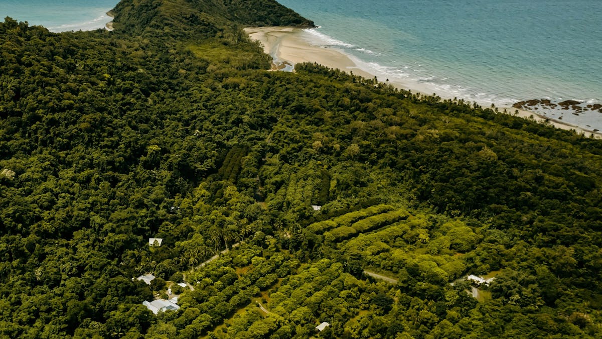 Aerial photo of Cape Trib Farm with Cape Tribulation in background