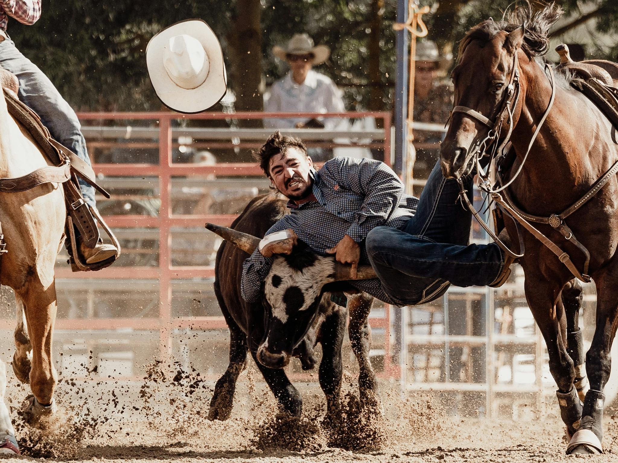Dave Merrick Rodeo Merrijig Rodeo - Victoria's High Country
