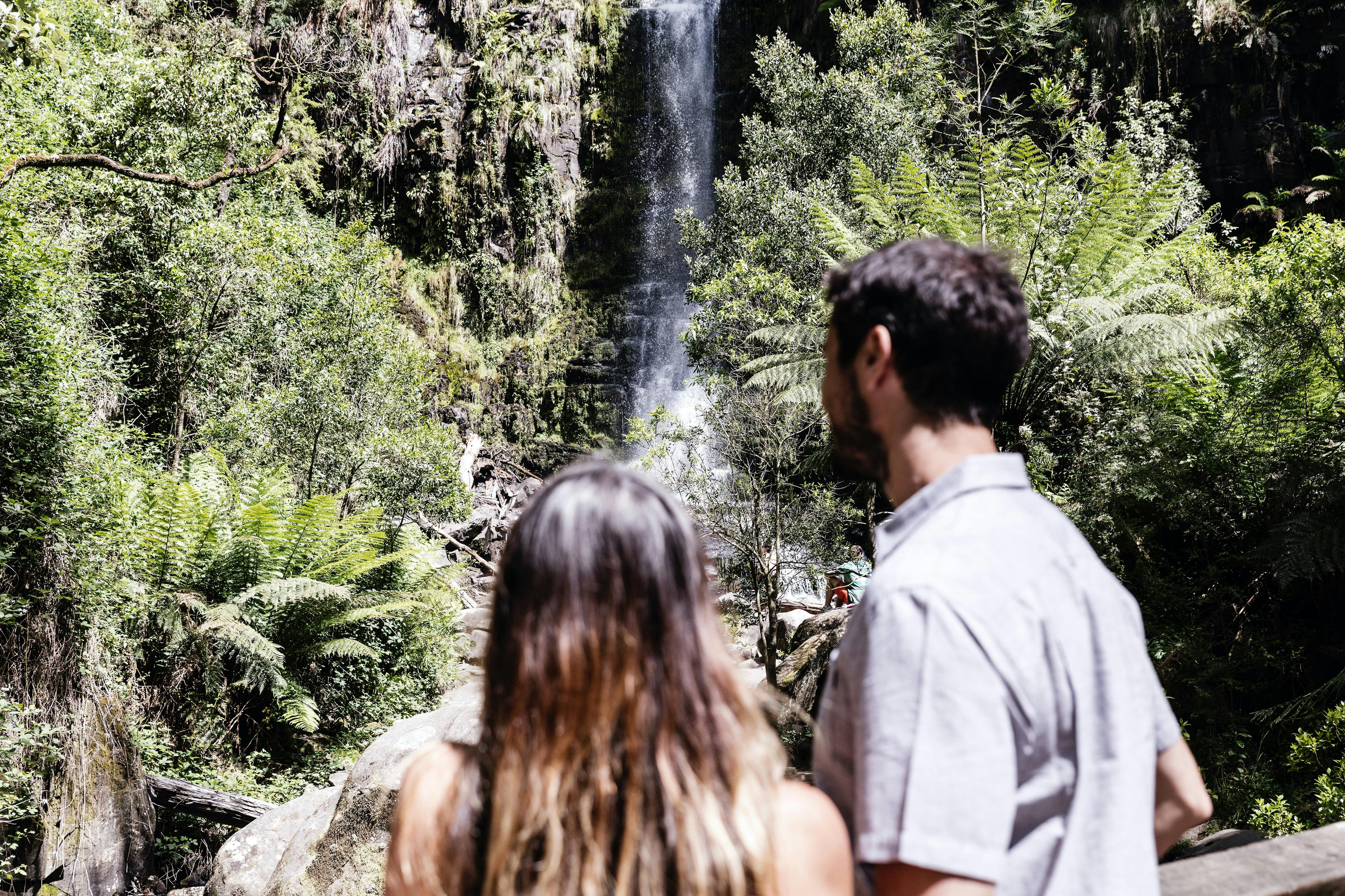 Guided watrefall walks