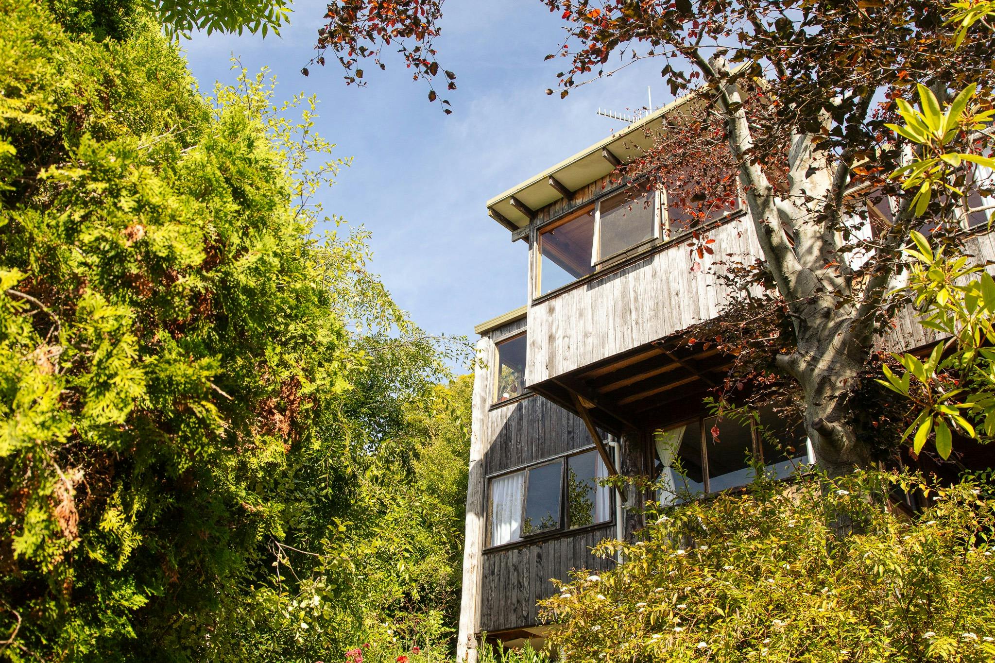 An image from a low angle looking up at the exterior of a treehouse, with prominent wooden panels.