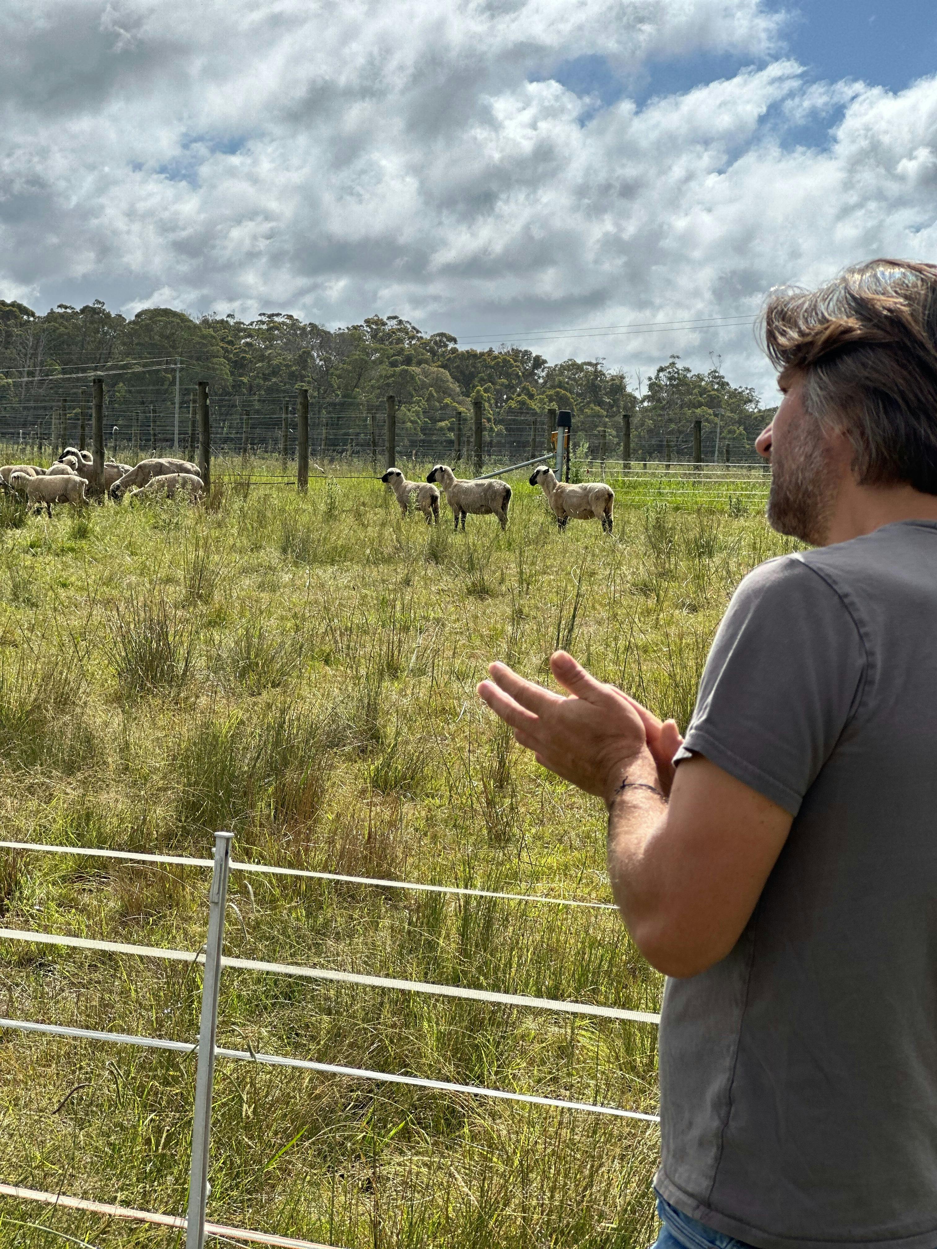 Sustainable natural farming methods in practice