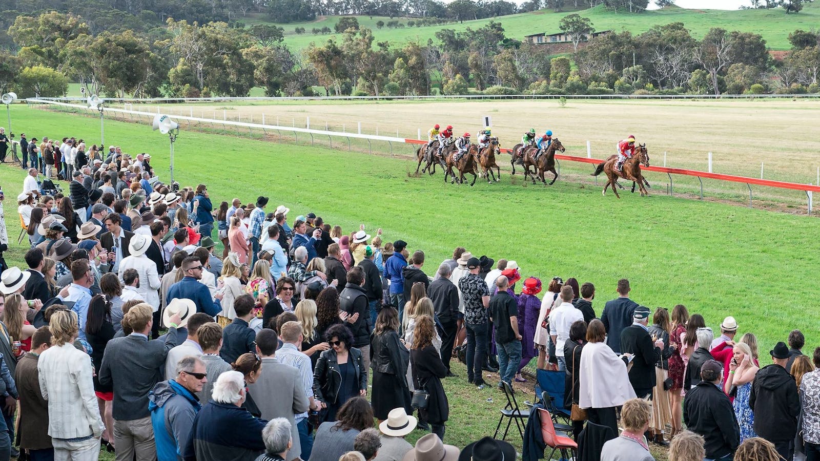 Image for TABtouch Toodyay Picnic Race Day