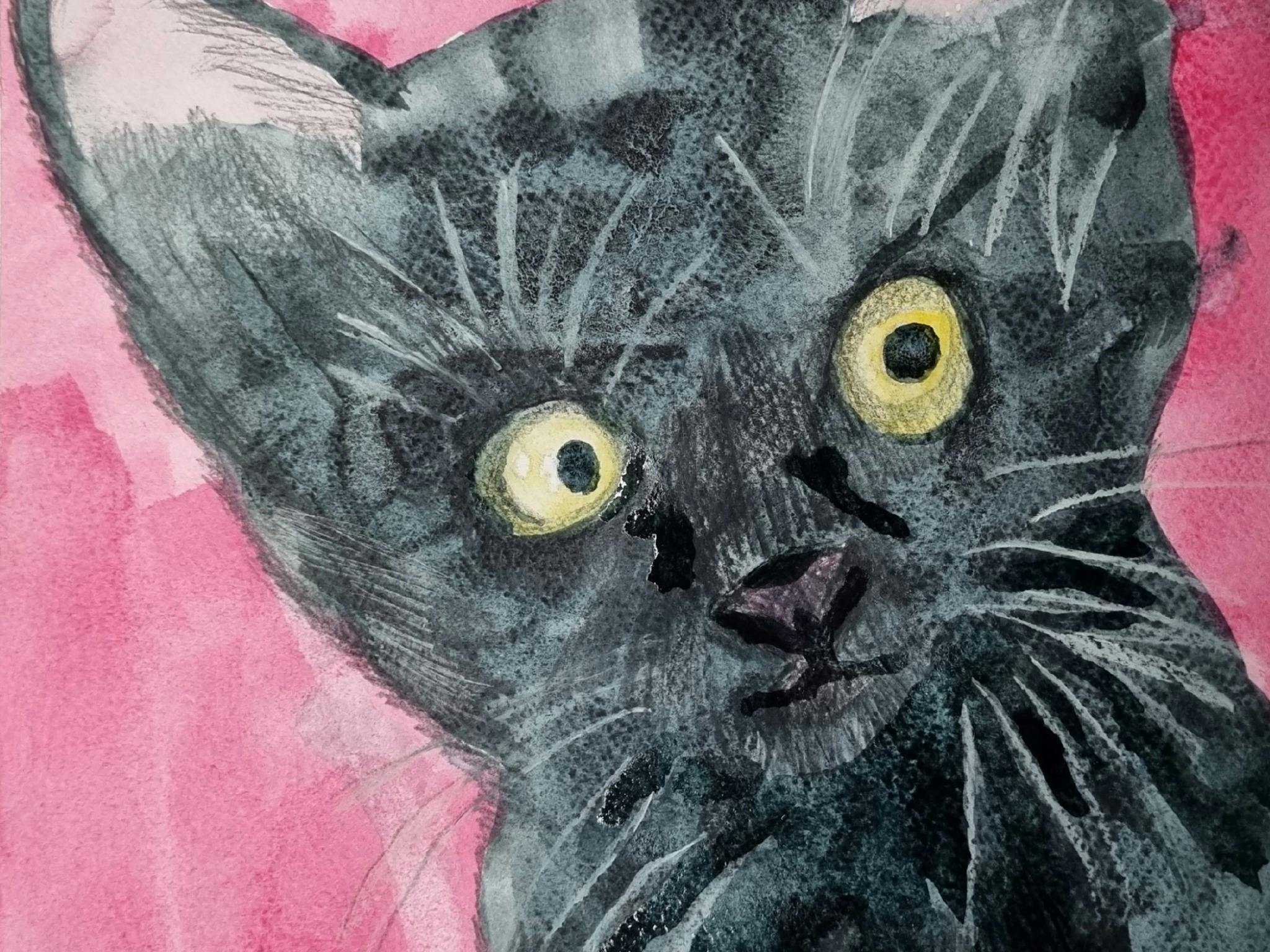 a drawing of a black cat on a pink background