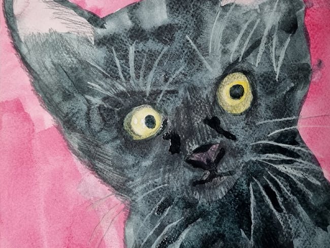 a drawing of a black cat on a pink background