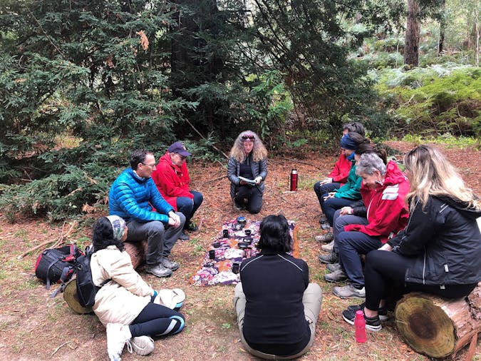 Nature Therapy with Forest Bathing