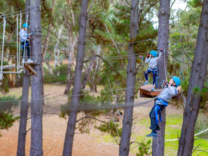 Mighty Yowies Go Wild at Southern Adventure Hub Summer School Holidays