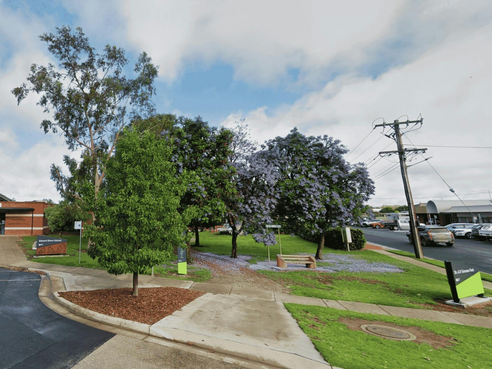 A street corner, with Jacaranda trees and a seat
