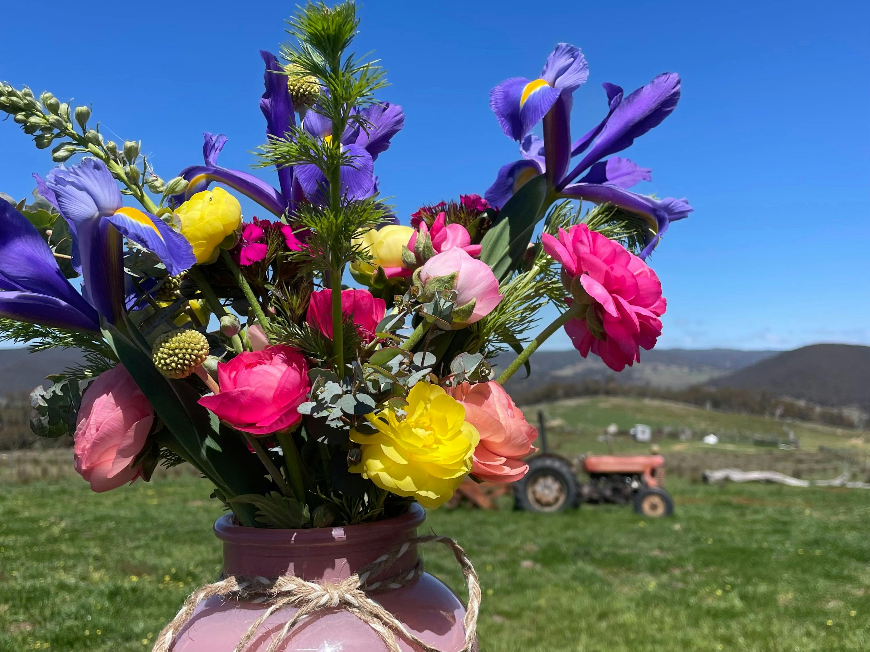 Valley View Flower Farm - You Pick Experience