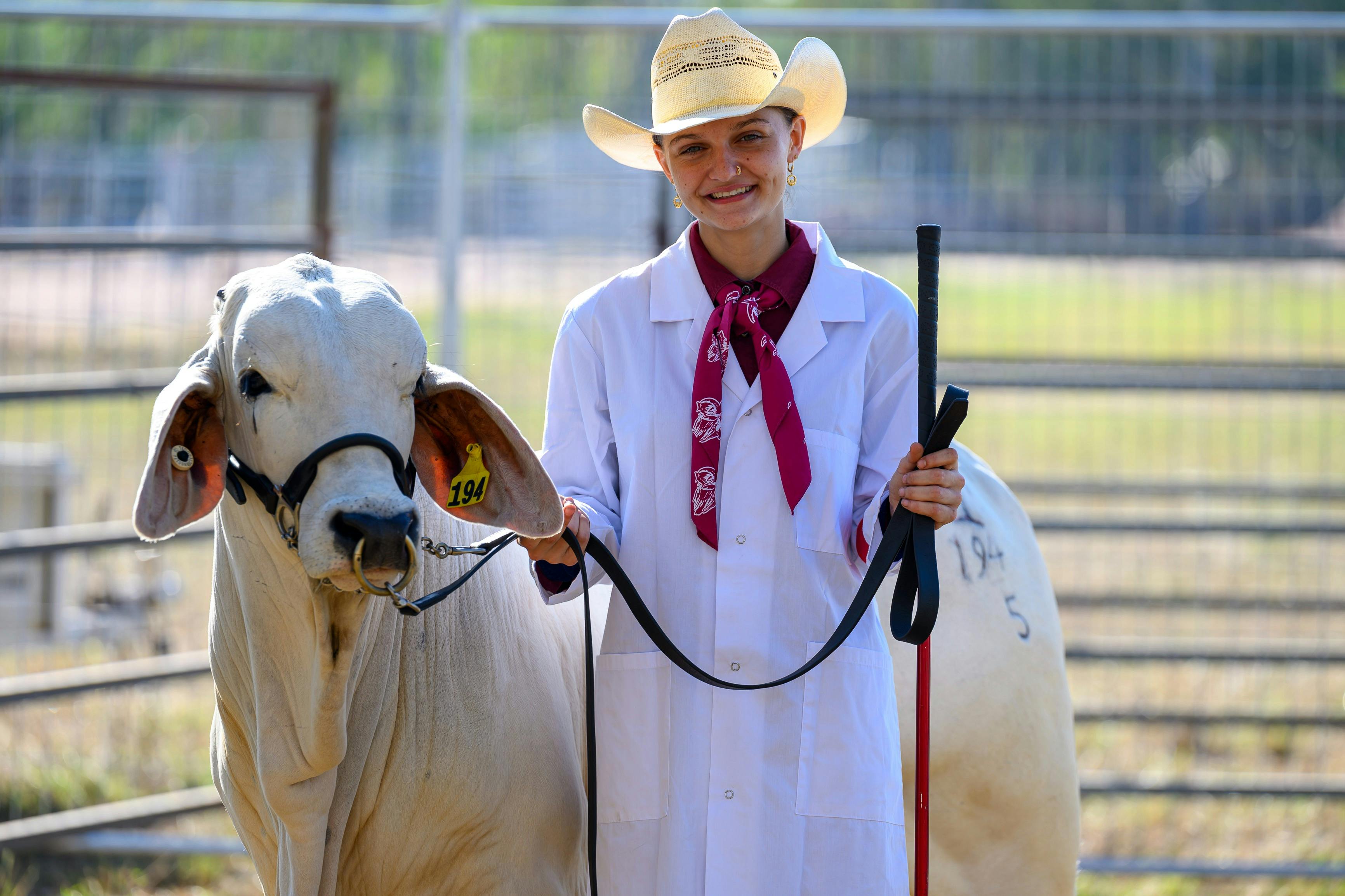 Livestock