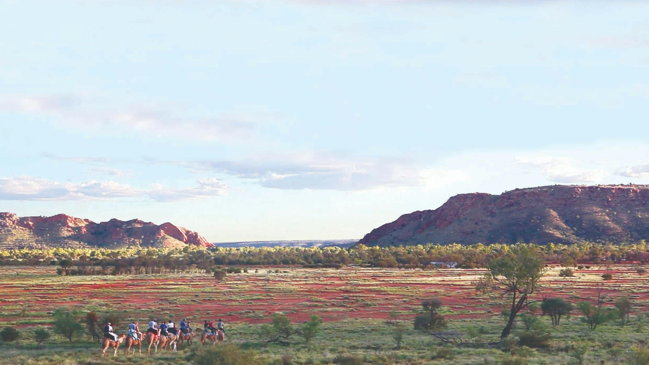 Camel ride with MacDonnell Rages in background