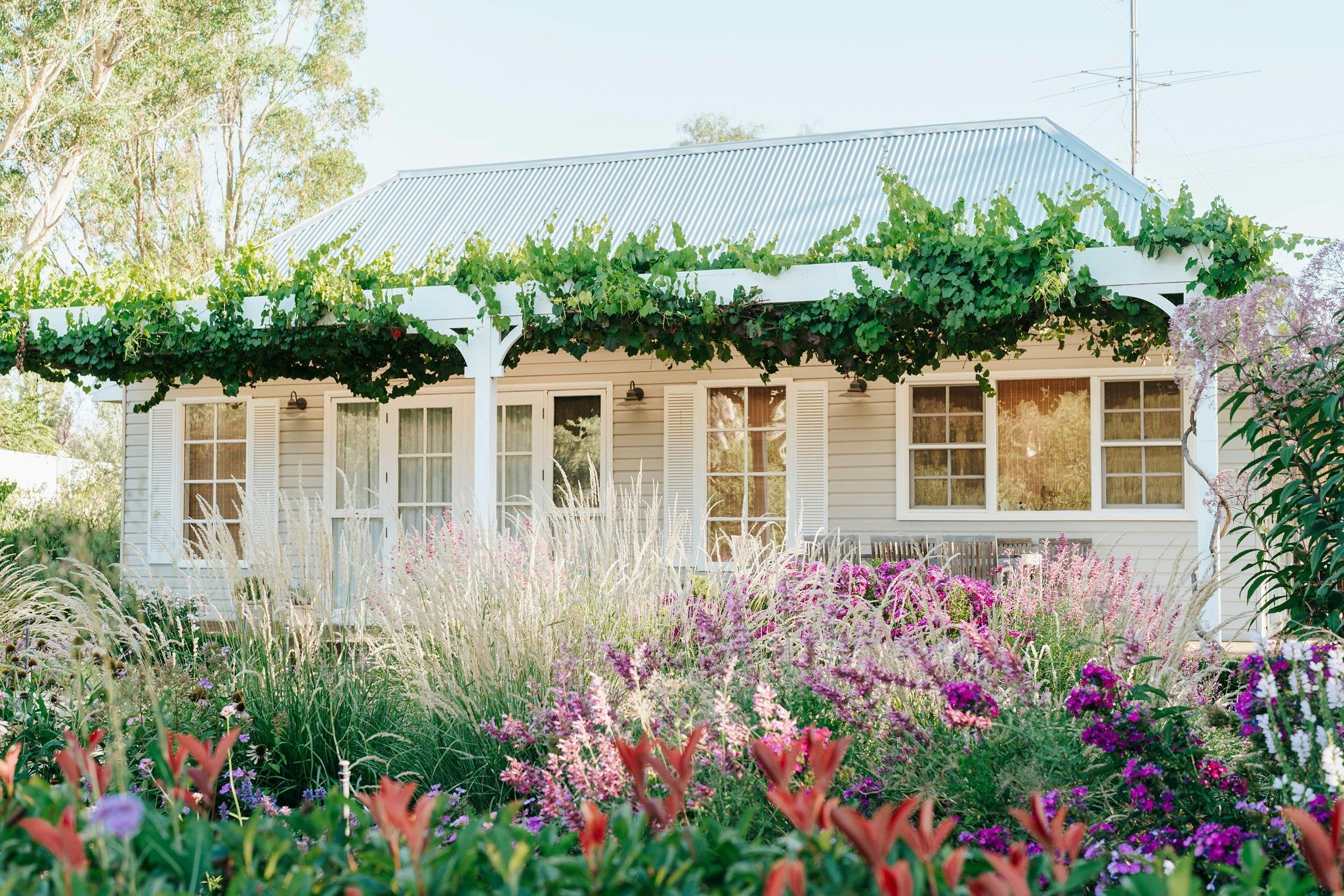 Ladysmith Park Perennials Garden and Nursery Summer Open Day