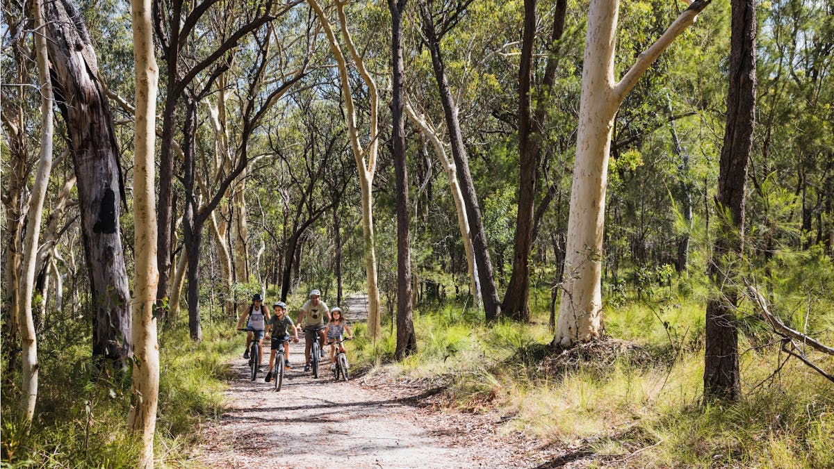 Family of four riding bikes through Bayview Conservation Area trails, Redlands Coast