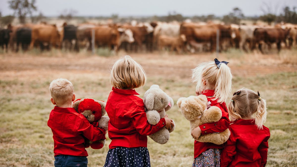 Tambo Teddies