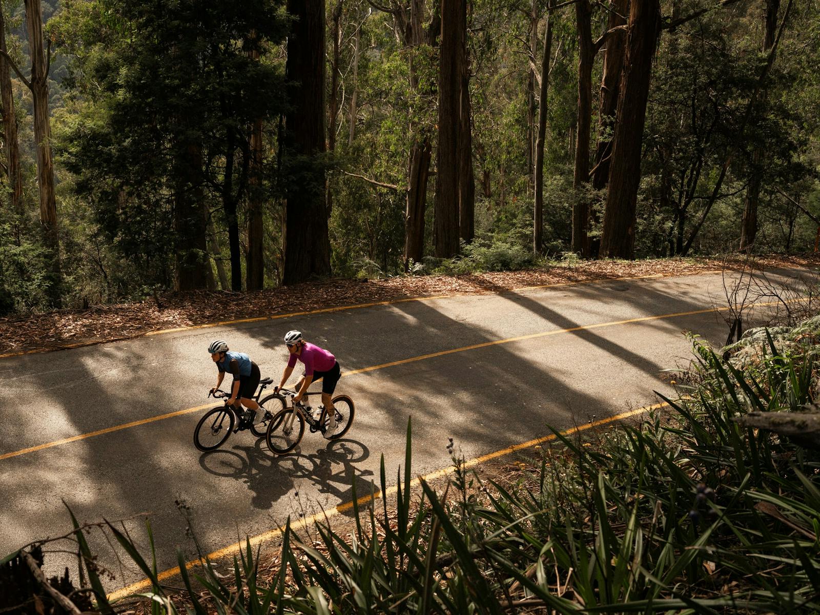 West Riding Road 7 Peaks Ride | Mt Buller | Ride High Country | Road Riding