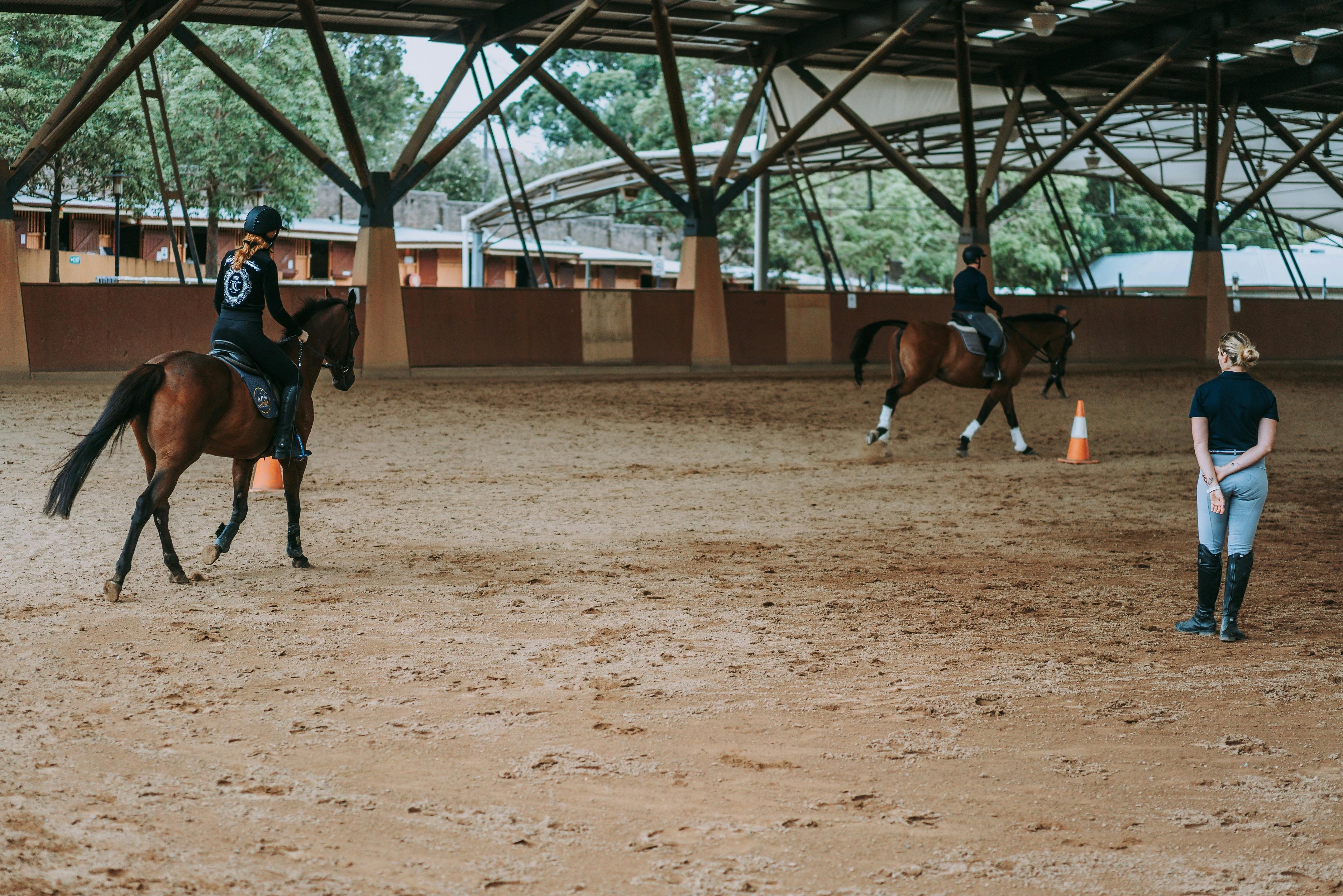 Centennial Parklands Reitzentrum
