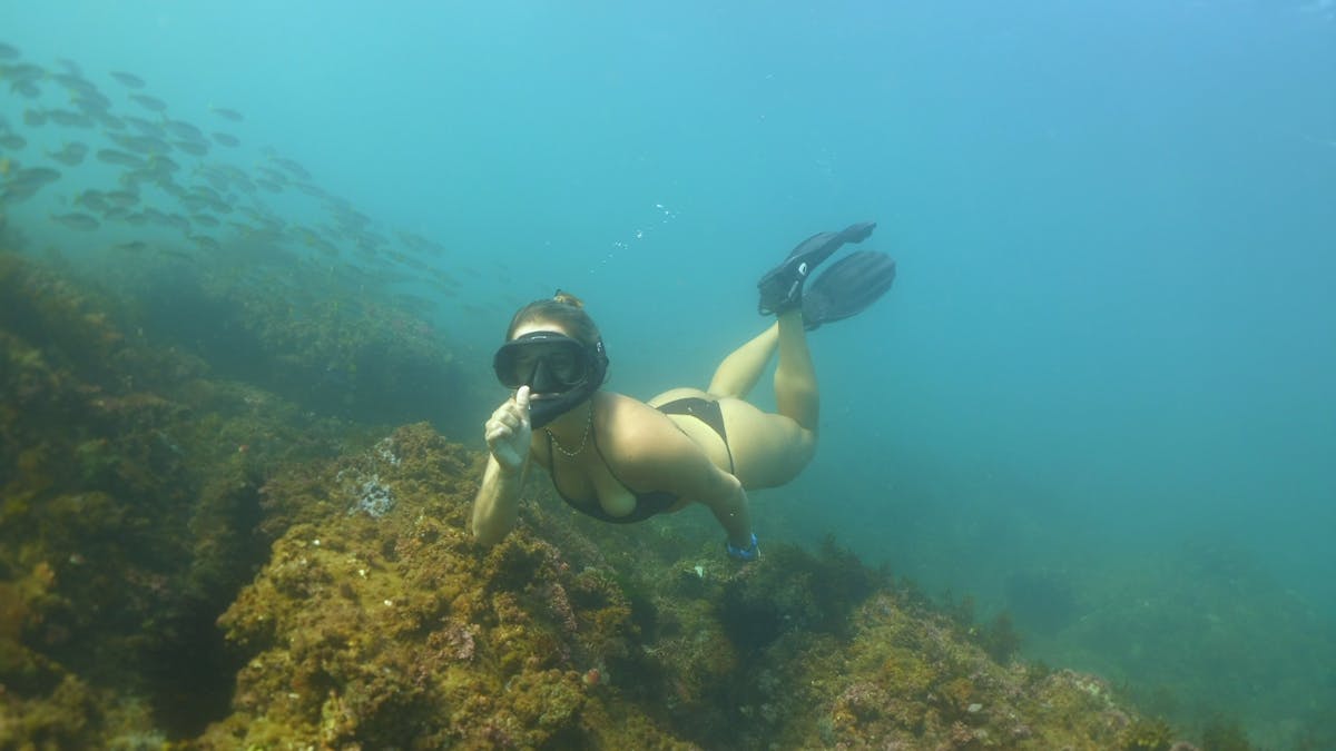 Freediving
